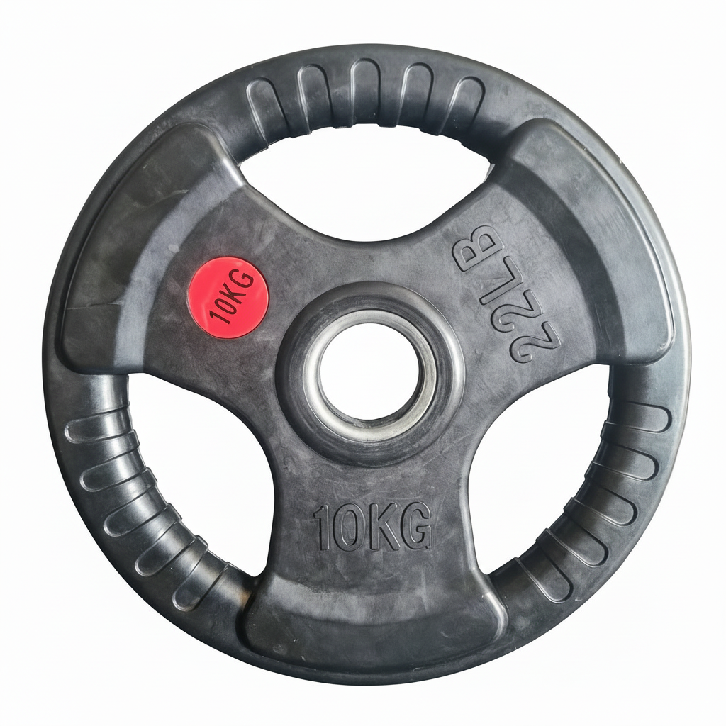 Curl Bar and Weight Package